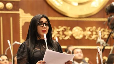 عضو اقتصادية الشيوخ: عقد اجتماعي جديد بين الحكومة الجديدة والشعب.