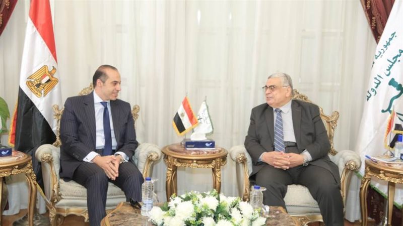 رئيس مجلس الدولة