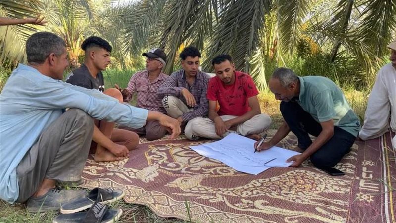 مدارس حقلية في الوادى