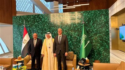 تفاصيل تطورات التعاون بين مصر والسعودية في مجال الطاقة 