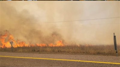 صواريخ حزب الله تتسبب بحرق اكثر من 100 الف دونم في اسرائيل