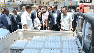 شاهد إطلاق 10سيارات لطرح بيض المائدة للمواطنين بنطاق 8 مراكز بالبحيرة 