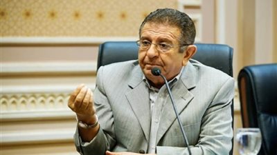 برلماني: ثورة 23 يوليو صفحة مضيئة في تاريخ مصر.. وإنجازاتها ملموسة