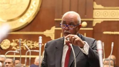 برلماني: قرار الرئيس السيسي بالإفراج عن بعض المحبوسين يؤكد استجابة الدولة لمخرجات الحوار الوطني