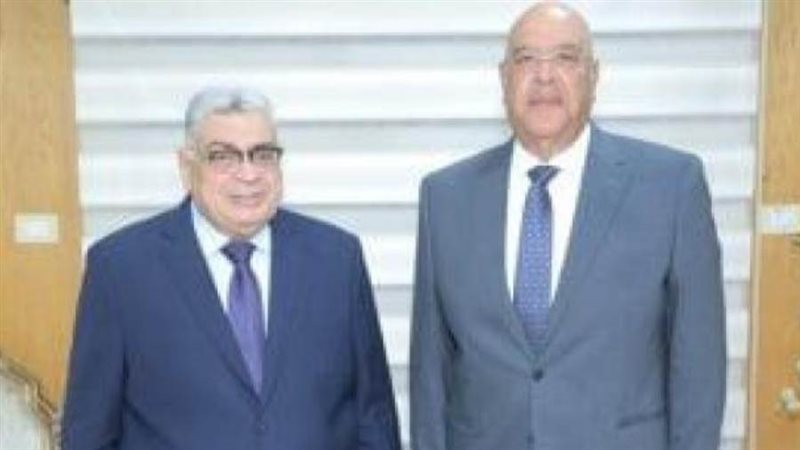 مجلس الدولة