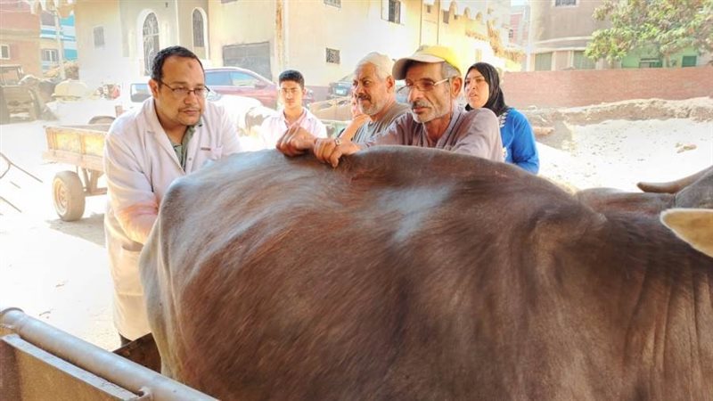 جانب من فعاليات القافلة