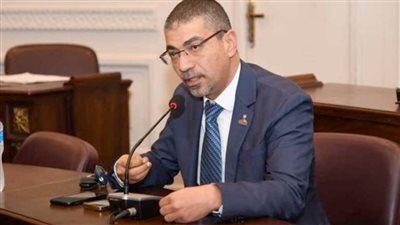 برلمانيون: الإفراج عن 79 محبوسًا يعزز حقوق الإنسان والحريات