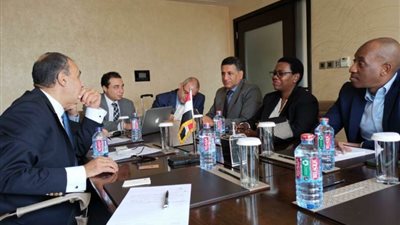 وزير الخارجية يؤكد أهمية توظيف الريادة المصرية لملف إعادة الإعمار في مواجهة التحديات والأزمات