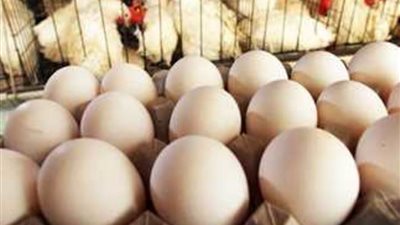 لحظة بلحظة.. تعرف على أسعار البيض والسلع الغذائية الأساسية اليوم