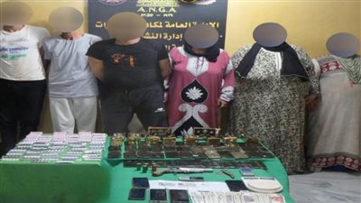 ضبط تشكيل عصابي يدير بؤرة إجرامية لتجارة الحشيش في القليوبية 