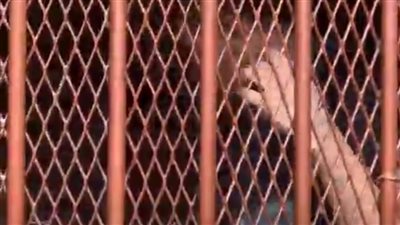 الإعدام شنقا لقاتل والده ببورسعيد