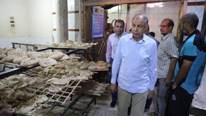 محافظ المنيا في جوله