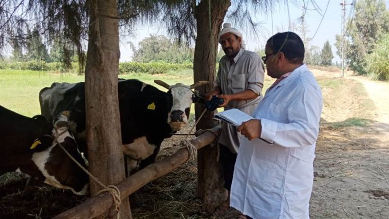 الحملة القومية لتحصين