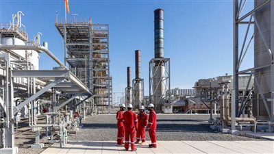 سعر نفط عُمان يبلغ 80 دولارًا و66 سنتًا