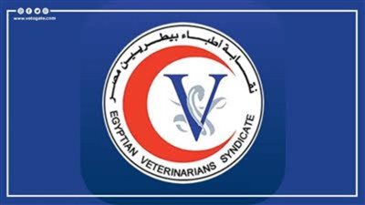 10 آلاف درجة مالية لتعيين الأطباء البيطريين قريبًا