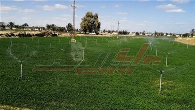 300 مليون جنيه تنقل قرى الظهير الصحراوي بالمنيا لمنظومة الري الحديث