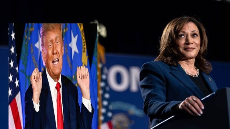 هاريس وترامب