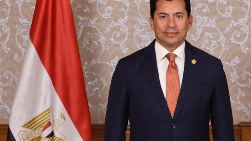 د. أشرف صبحى