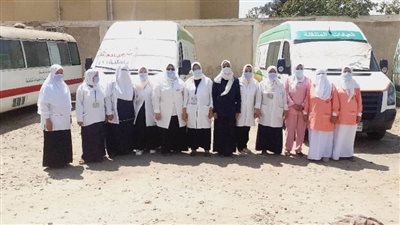  الكشف على 1285 مريضًا بقافلة علاجية بالدقهلية 