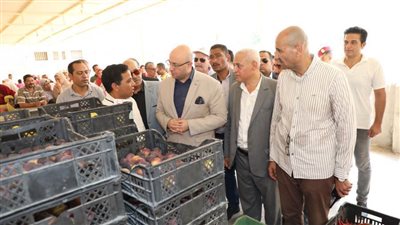 محافظ بني سويف يتفقد منفذ بيع منتجات الصوب الزراعية لجهاز مستقبل مصر للتنمية المستدامة