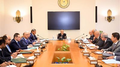 وزير الخارجية يؤكد على الأهمية التى يوليها لتطوير العلاقات مع الدول الإفريقية