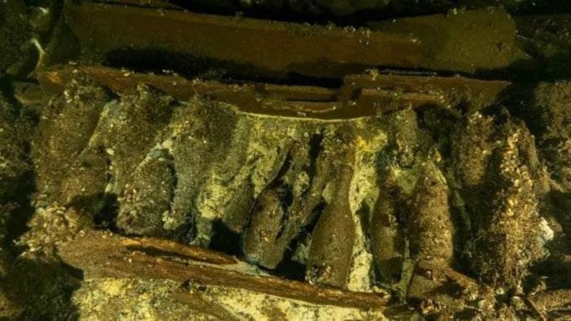 زجاجات شمانيا