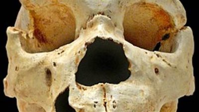 بعد 30 عامًا من التنقيب.. علماء إسبان يكتشفون عظام أقدم شعوب أوروبا 