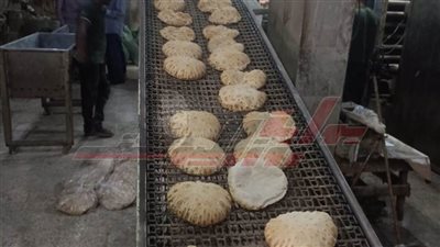 تموين كفر الشيخ يحرر محاضر تموينية للمخالفين وأصحاب المخابز