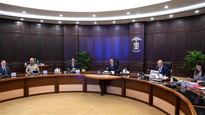 مجلس الوزراء يوافق علي قرار بشأن إنشاء منطقة حرة خاصة