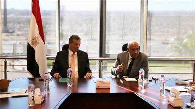 وزيرا الكهرباء والزراعة يبحثان أوضاع مزارع الدواجن وسبل تأمين التغذية الكهربائية 