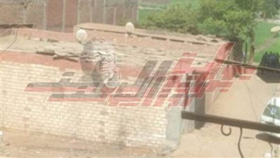 تحقيقات موسعة مع الأب المتهم بذبح أبنائه الـ4 في قليوب