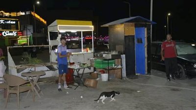 وفد بورسعيد يطالب قيادات المحافظة بعودة العربات والأكشاك المتنقلة لأمكانها