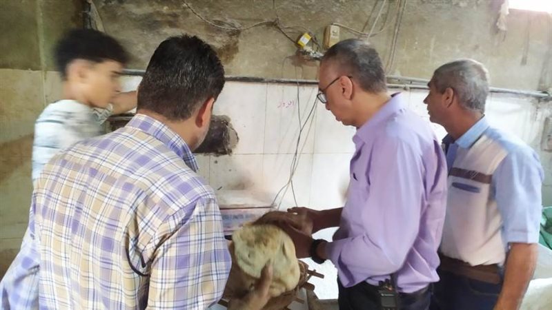 جانب من الخملة على