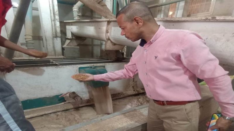 حملة تموينية