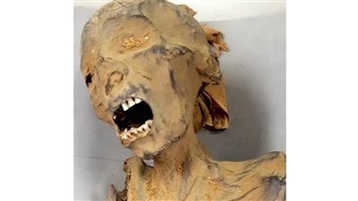 ظاهرة تشنج الجثة.. دراسة طبية تكشف لغز مومياء 