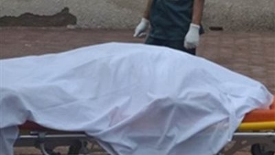 أجهزة الأمن تكشف ملابسات واقعة مقتل سائق بالجيزة وضبط مرتكبي الواقعة