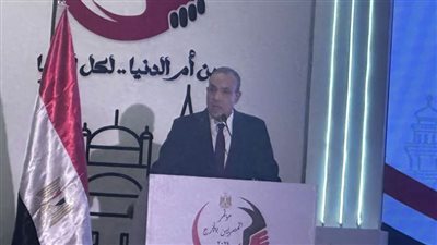وزير الخارجية: المصريين بالخارج جزء من القدرة الشاملة والدولة توليهم كامل الاهتمام 
