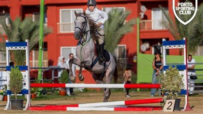 تفاصيل فعاليات مهرجان بورتو للخيول العربية الأصيلة