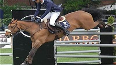 أول تعليق من رئيس اتحاد الفروسية بعد انسحاب نائل نصار من أولمبياد باريس