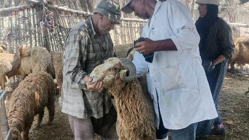 جانب من فعاليات الحملة