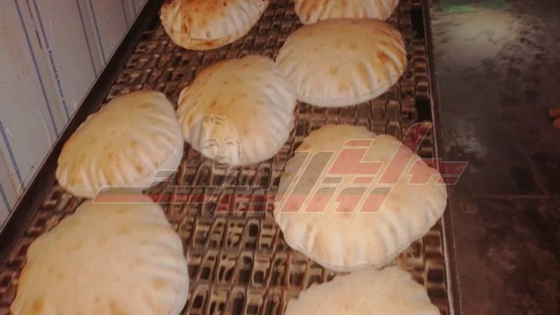 مخابز كفرالشيخ