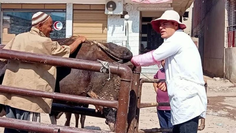 جانب من فعاليات القافلة