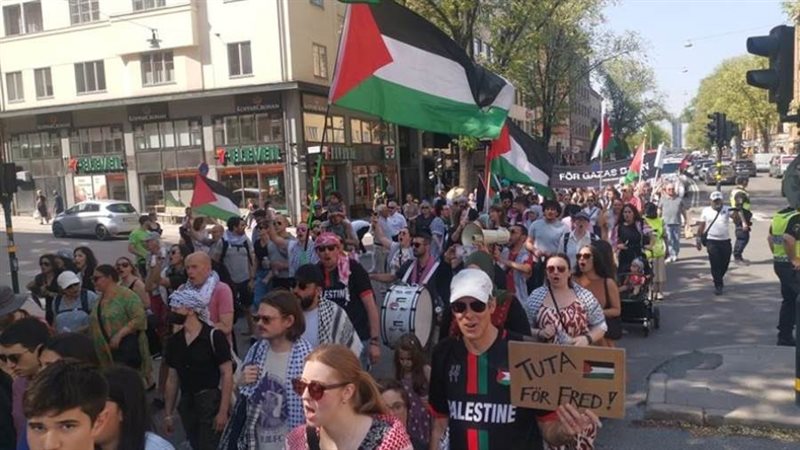 بوابة روز اليوسف