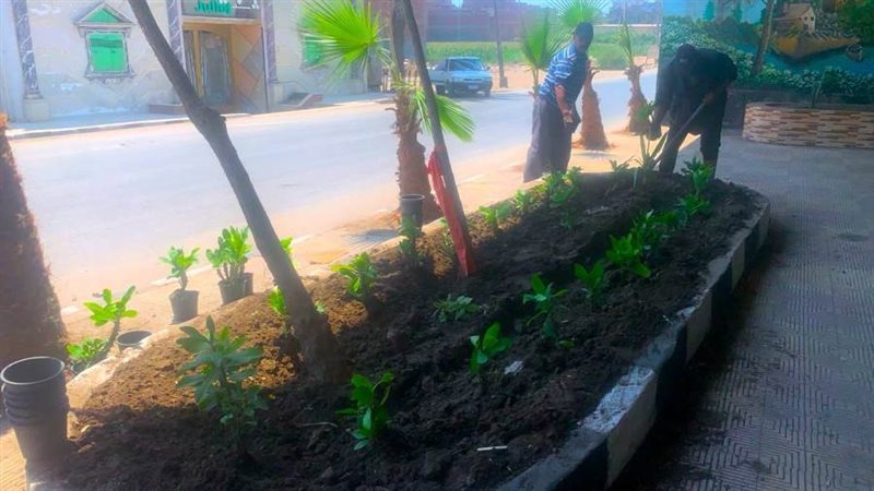 تجميل مدخل مدينة