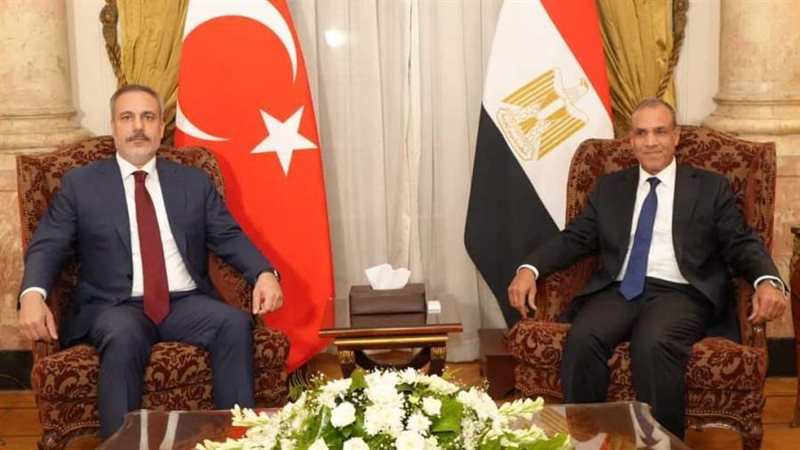 وزيرا خارجية مصر