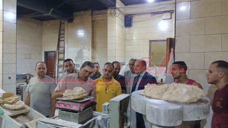 الحملات الرقابية