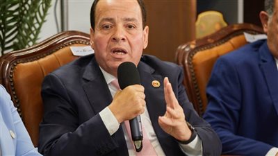 «برلمانية حماة الوطن» تشيد بخطة وزير الصناعة لإنعاش القطاع الصناعي وتعزيز التنافسية