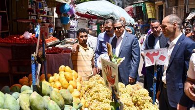 محافظ الإسكندرية يتفقد سوق زنانيري لمتابعة أسعار السلع