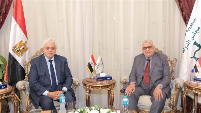 مجلس الدولة