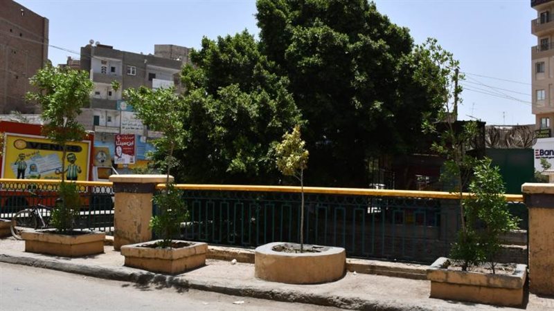 شوارع الفيوم تكتسى